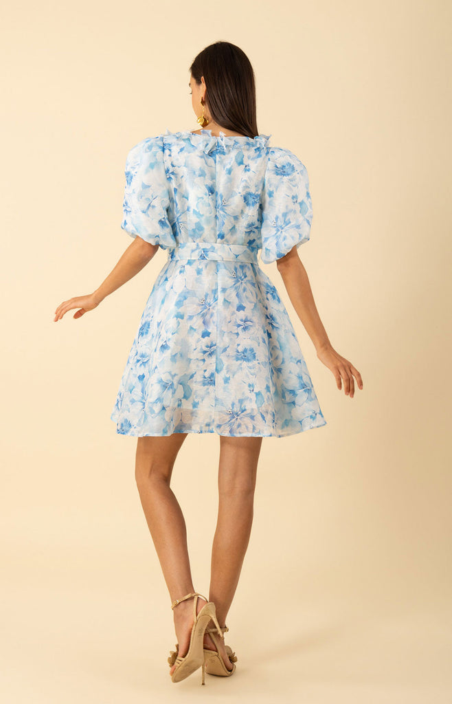 Promise Floral Trim Organza Dress